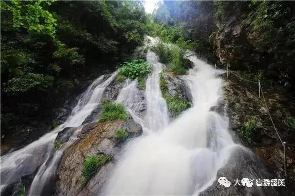 江西大余丫山599即可抢购网红酒店大龙山生态酒店